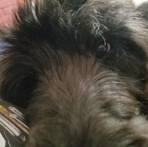 Meet your Posher, Steve